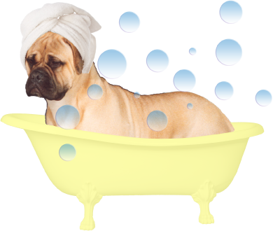 bathtub frieda bubbles2