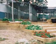 kennel3