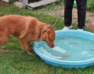 test the water2