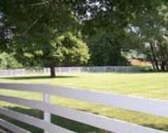 frisbee field